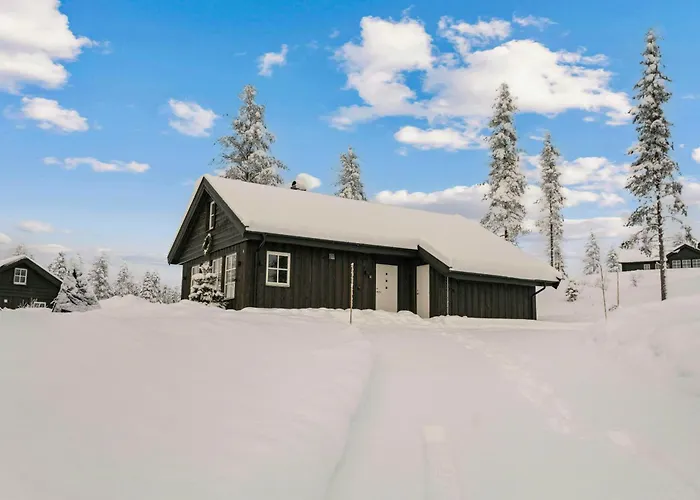 Feriehus New With Ski-inski-out In Furutangen