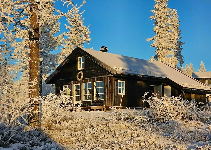 New With Ski-inski-out In Furutangen Moen i Målselv